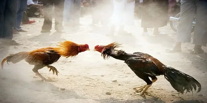 Một vài bí kíp đặc biệt mà nhiều người áp dụng